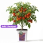 Preview: Grow Bucket Super Soil organic